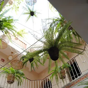 Casa de hóspedes Pensión Córdoba, Sevilha